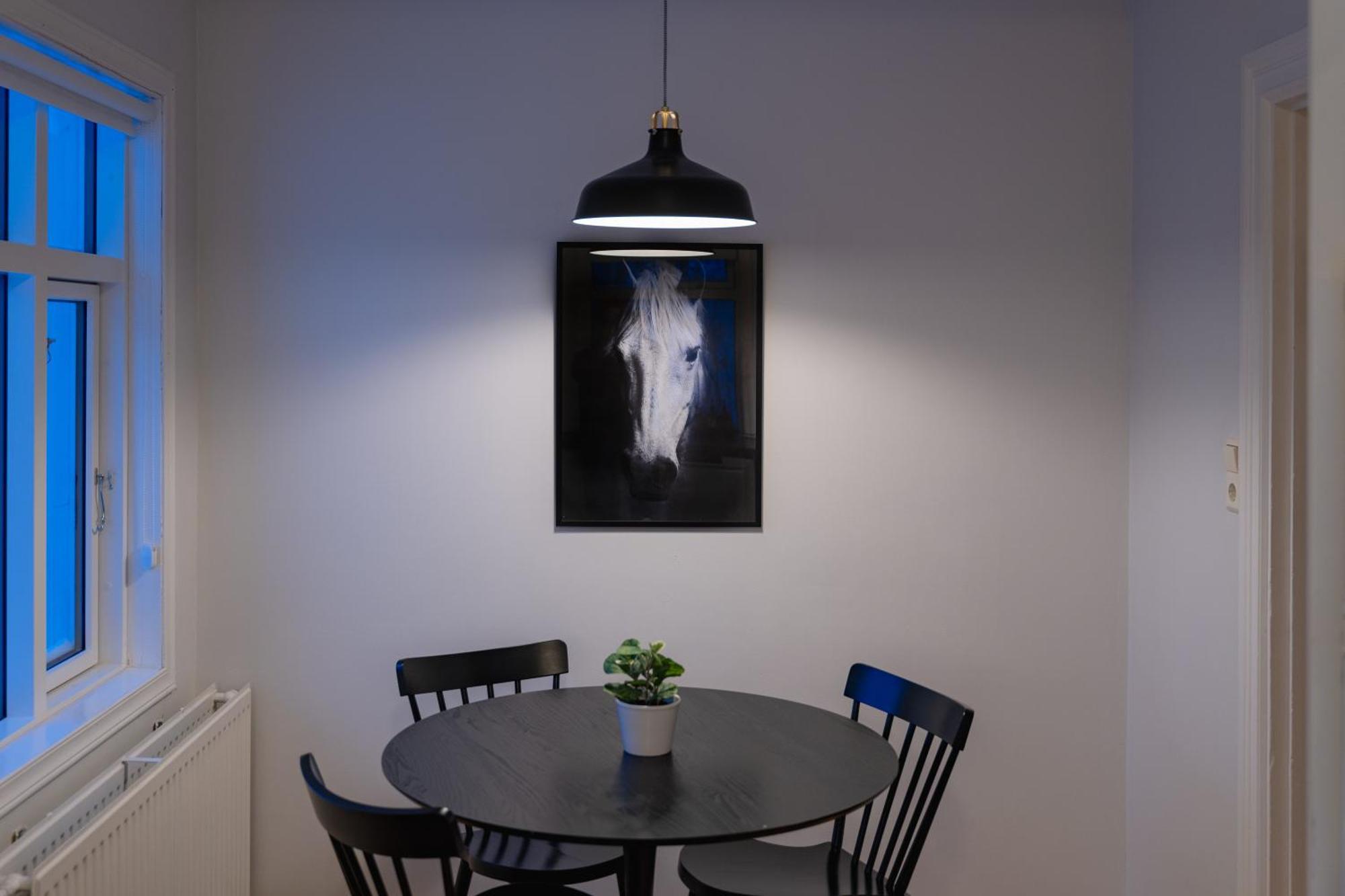 Day Dream Central Akureyri Three Bedroom Apt Eksteriør billede